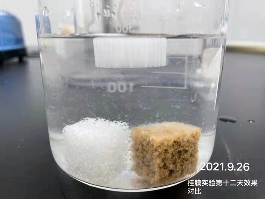 Rapid Biofilm Water Treatment Testing Gel Bio Carrier For Industrial Municipal MBBR