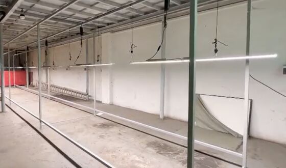 Farming Plant Grow Light System Plant Nurseries Greenhouses Grow Lights For Indoor Plants