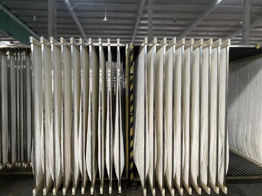 Skid Mounted Water Treatment Testing Industrial MBR Toray Mitsubishi  Industrial MBR System
